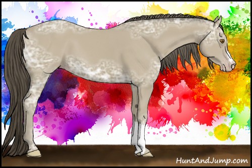 Horse Color:Classic Cream Champagne Ice 