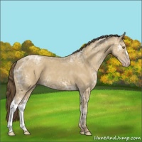 Horse Color:Classic Cream Champagne Ice 