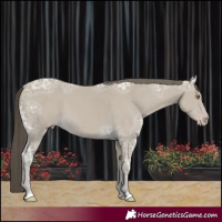Horse Color:Classic Cream Champagne Ice 