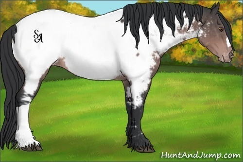 Horse Color:Platinum Bay Near Fewspot