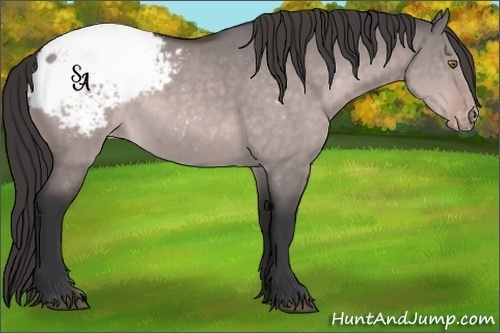 Horse Color:Platinum Brown Dun Appaloosa 