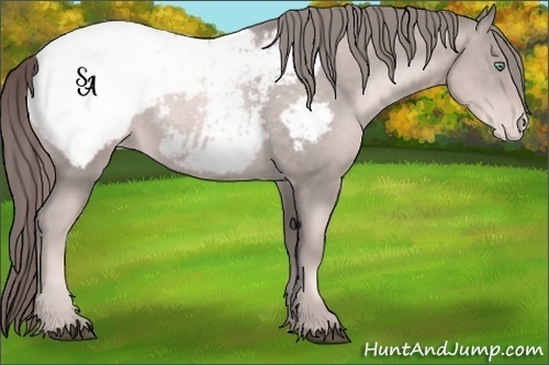 Horse Color:Platinum Liver Chestnut Pearl Appaloosa Rabicano