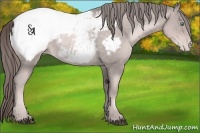 Horse Color:Platinum Liver Chestnut Pearl Snowcap Rabicano 