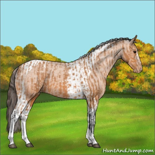 Horse Color:Bay Splash Tobiano Varnish  and Bay Tobiano Varnish 