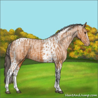 Horse Color:Bay Splash Tobiano Varnish  and Bay Tobiano Varnish 