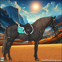 Horse Color:Liver Chestnut Rabicano