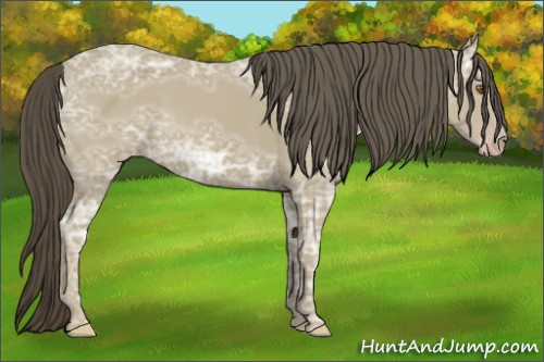 Horse Color:Classic Cream Champagne Ice 