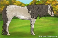 Horse Color:Classic Cream Champagne Ice 