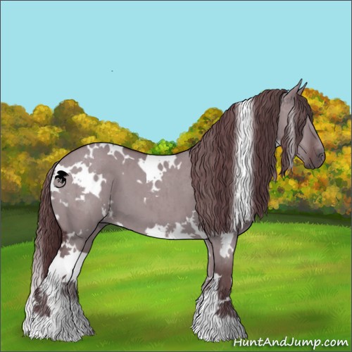 Horse Color:White Spotted Chocolate Grullo Chinchilla Brindle 