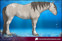 Horse Color:Classic Cream Champagne Ice 