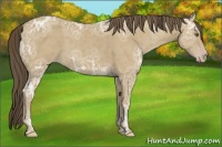 Horse Color:Classic Cream Champagne Ice 