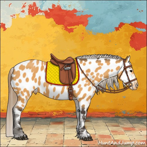Horse Color:Buckskin Near Leopard 