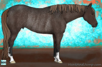 Horse Color:Liver Chestnut Rabicano 
