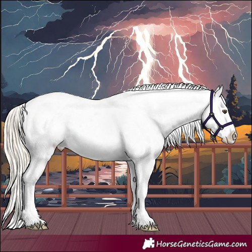 Horse Color:Palomino Dun Sabino Splash Appaloosa 