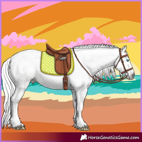 Horse Color:Gray Chocolate Palomino Pearl Tobiano 