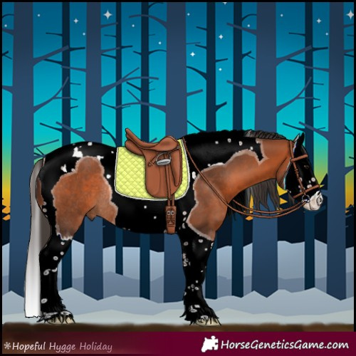 Horse Color:Bay Splash Tobiano Rabicano 