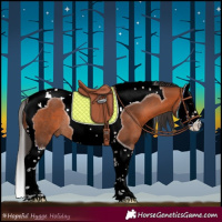 Horse Color:Bay Splash Tobiano Rabicano