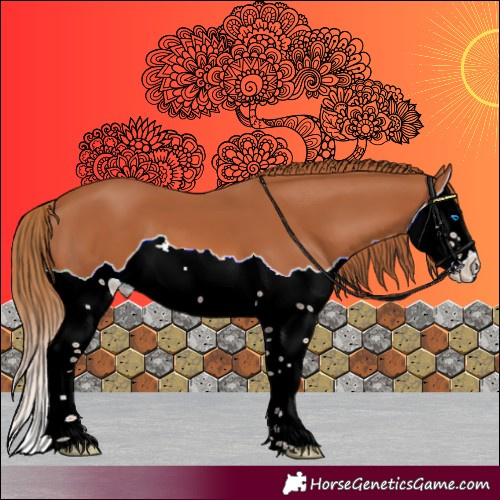 Horse Color:Chestnut Splash 