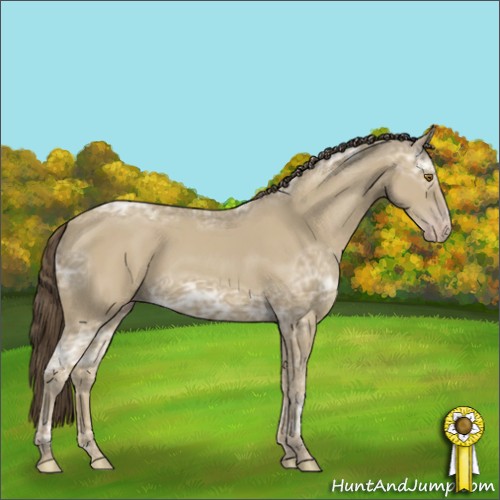 Horse Color:Classic Cream Champagne Ice 