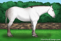 Horse Color:Gray Chestnut