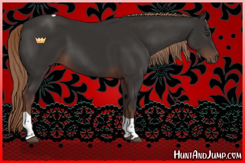 Horse Color:Liver Chestnut Tobiano