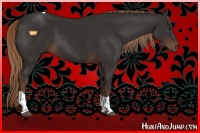 Horse Color:Liver Chestnut Tobiano 