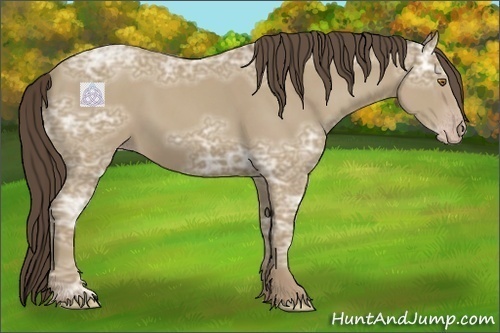 Horse Color:Classic Cream Champagne Ice 