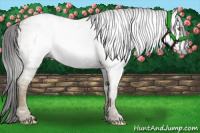 Horse Color:Gray Classic Cream Champagne Ice 