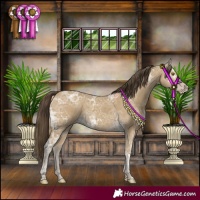 Horse Color:Classic Cream Champagne Ice 