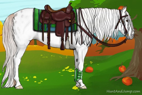 Horse Color:Gray Chestnut Splash Appaloosa 