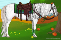 Horse Color:Gray Chestnut Splash Appaloosa 