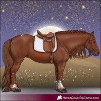 Horse Color:Chestnut Tobiano