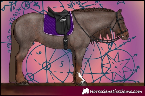 Horse Color:Liver Red Roan 