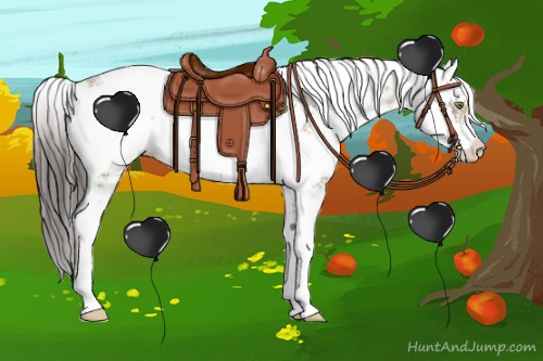 Horse Color:Amber Champagne Sabino Rabicano 