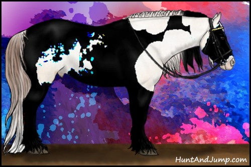 Horse Color:Bay Dun Splash Tobiano Appaloosa 