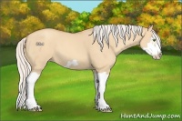Horse Color:Silver Classic Champagne Dun Splash Frame 