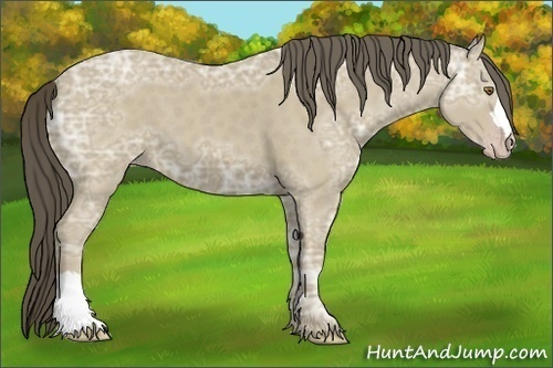 Horse Color:Classic Cream Champagne Ice 
