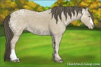 Horse Color:Classic Cream Champagne Ice 