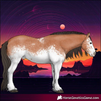 Horse Color:White Spotted Bay Roan Rabicano 