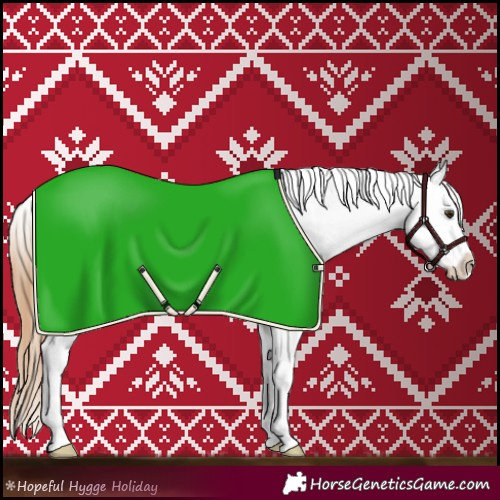 Horse Color:Chestnut Appaloosa 