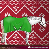 Horse Color:Chestnut Appaloosa 