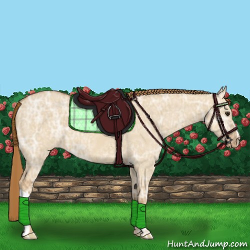 Horse Color:Red Dun Ice Appaloosa 