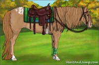 Horse Color:Chestnut Appaloosa