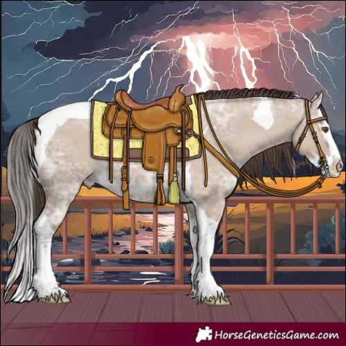 Horse Color:Classic Champagne Ice Dun Splash Tobiano Rabicano 