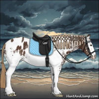 Horse Color:White Spotted Liver Chestnut Appaloosa