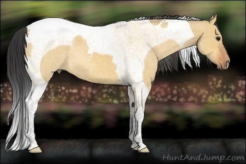 Horse Color:Bay Dun Tobiano 