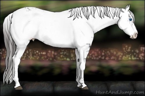 Horse Color:Liver Chestnut Frame
