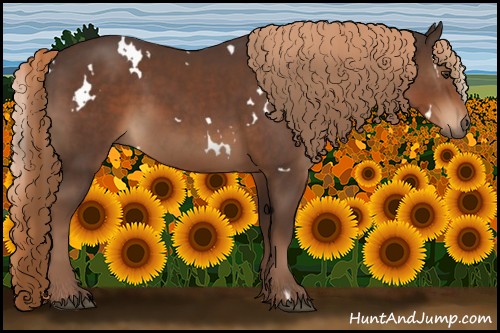 Horse Color:White Spotted Liver Chestnut 