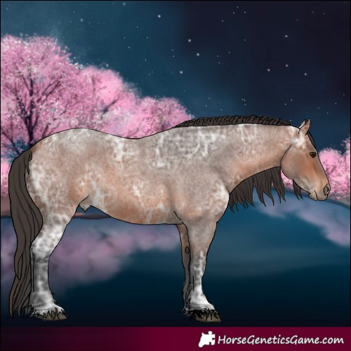 Horse Color:Bay Ice Roan 