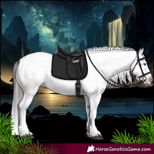 Horse Color:White Spotted Bay Splash 